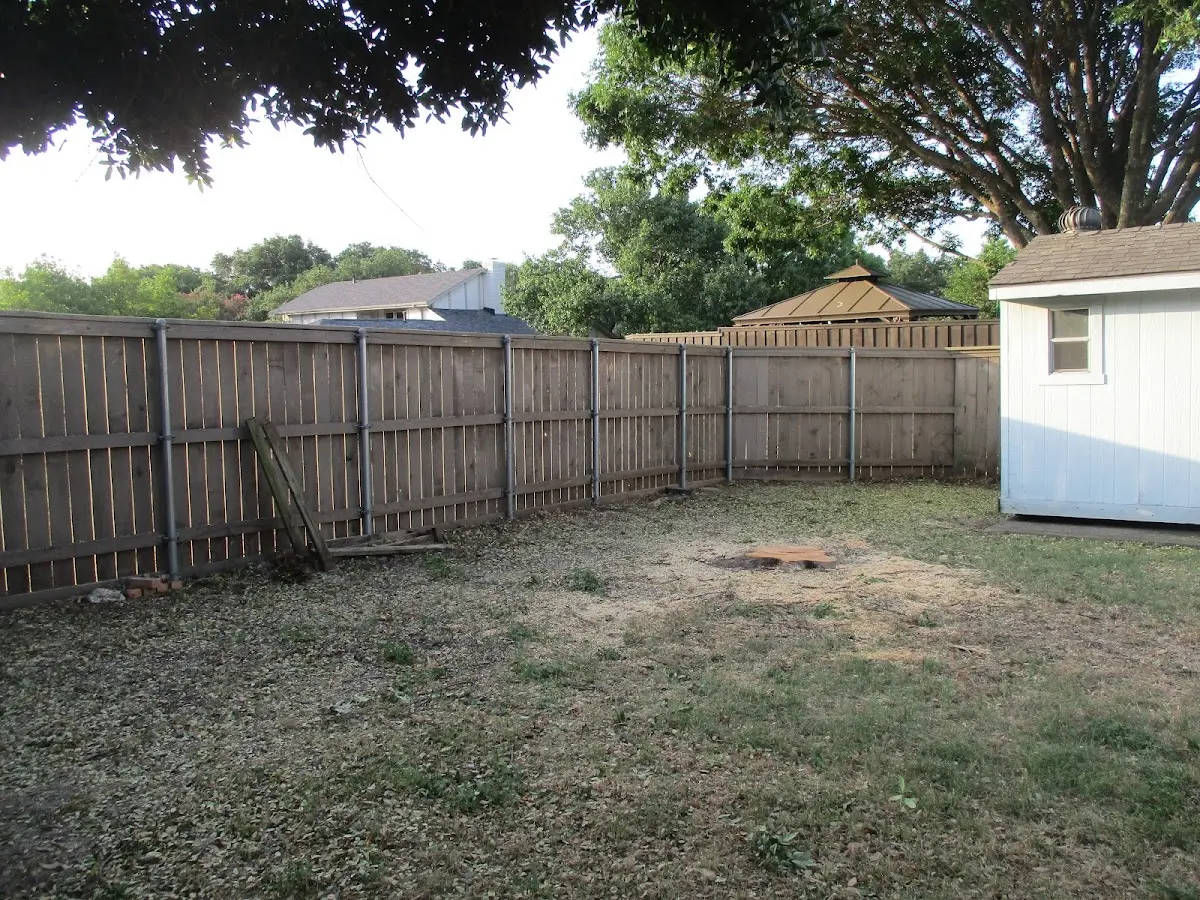 Cleared yard after professional tree removal in Murray